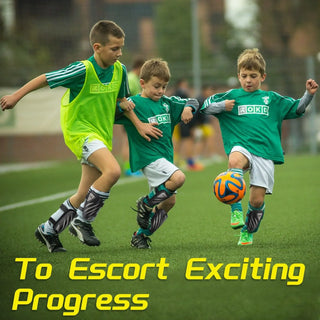 GUARDIAN SHIN GUARDS SILVER - WVVOU®